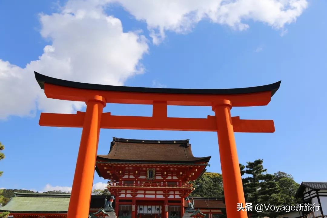 秋天来京都，体验「限定红」的“枫”情万种