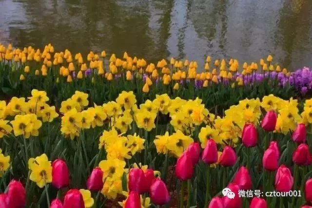 常州周末适合去哪里踏青,清明农庄亲子游攻略