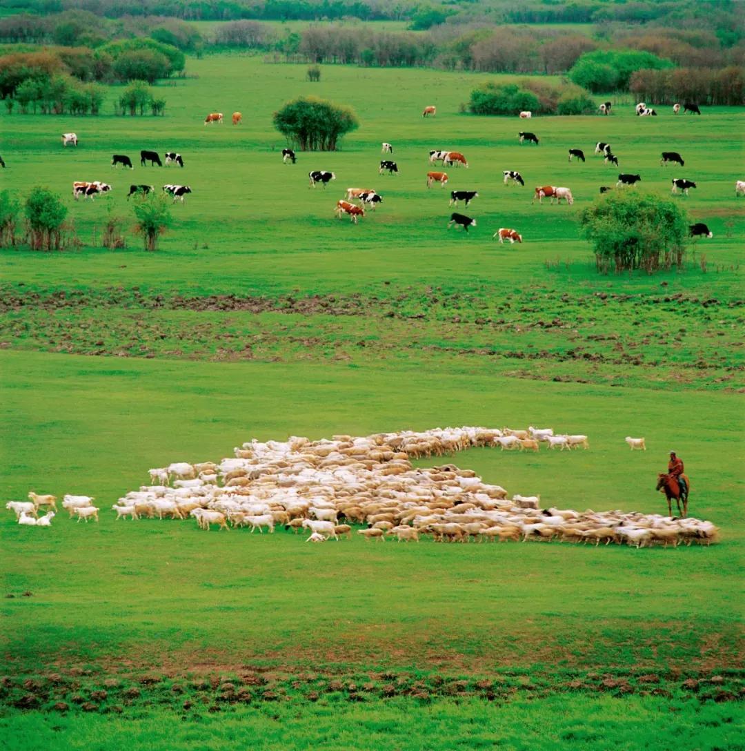 这个夏天一定不要出去玩,这个季节不要去的三个地方