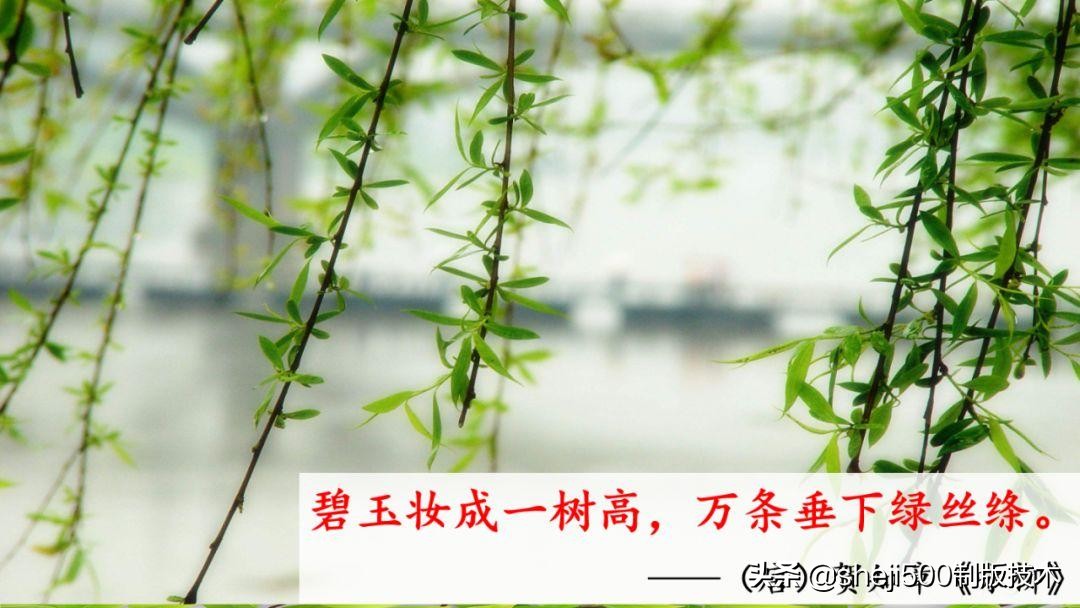 一年级下册识字春夏秋冬生字视频,一年级语文下册春夏秋冬课文朗读