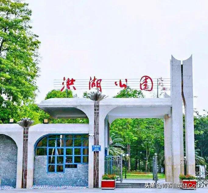 深圳荷花公园好去处,深圳荷花景点推荐