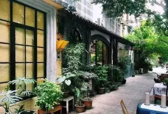 成都近郊10个免费景点,成都小众景点推荐