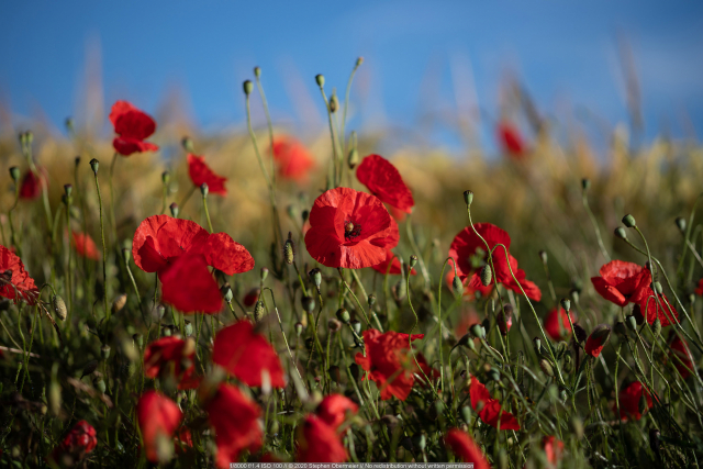 宾得18-55镜头评测,宾得85mmf1.8手动镜头