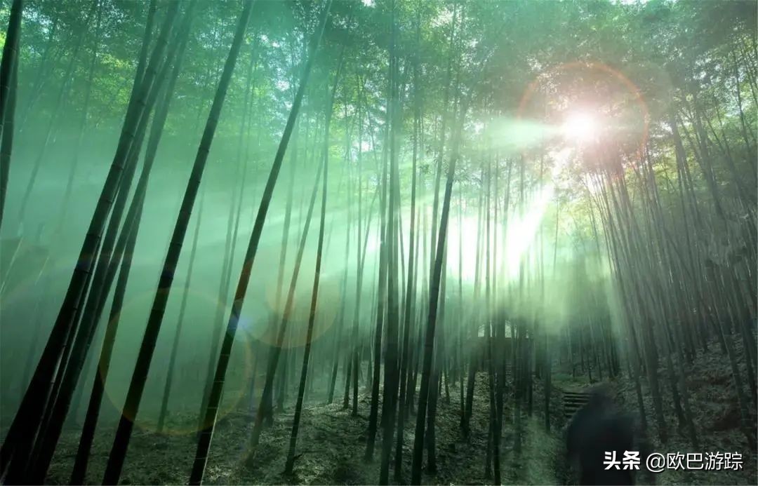 绍兴古道攻略一日游自由行,此生必去的三条国道