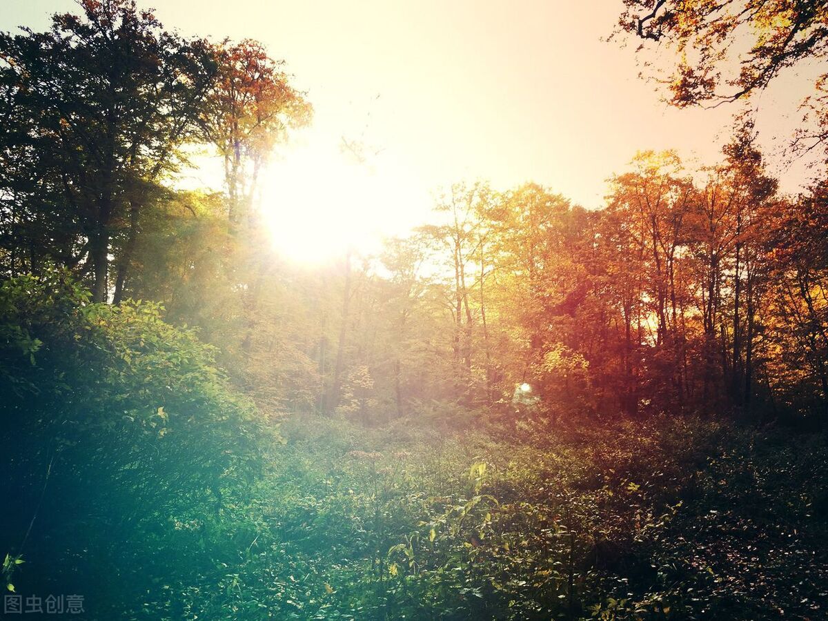 人社局劳动仲裁电话,人社局劳动维权