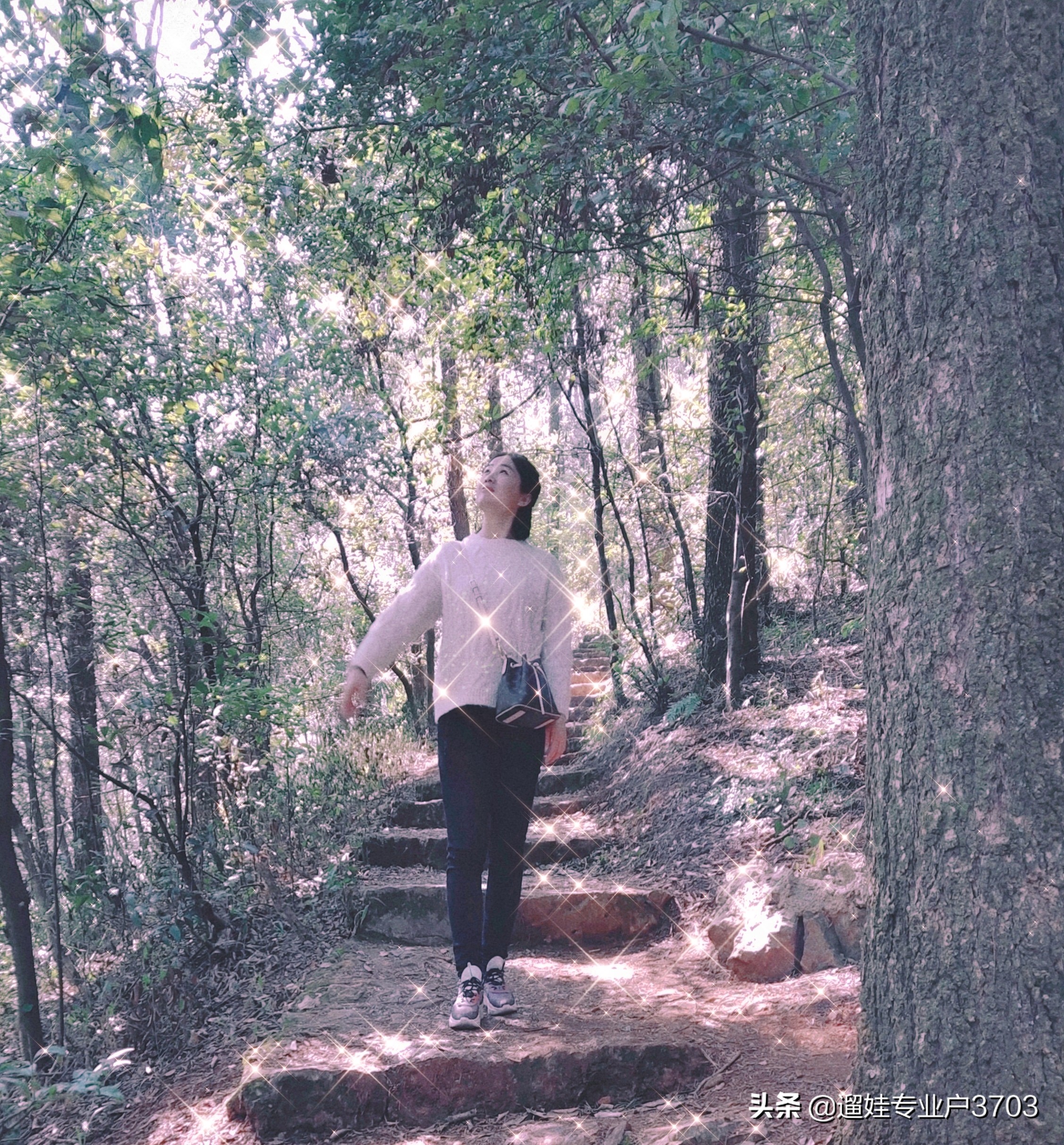 从茶马花街到西山龙门的旅游路线,西山森林公园旅游攻略一日游价格