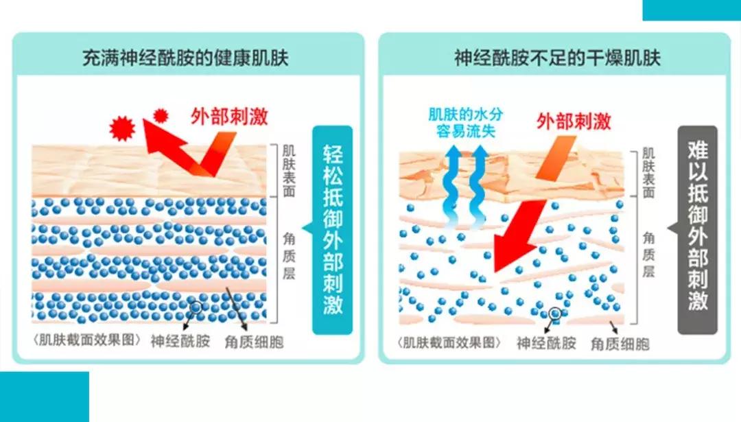 珂润最补水的是哪款,拯救烂脸的好物