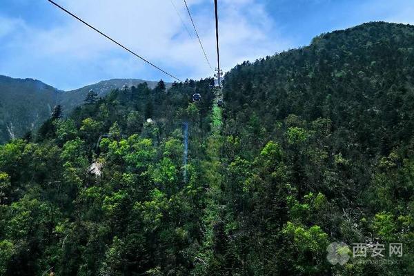 暑假带上神兽一起过来玩,暑假神兽去哪玩