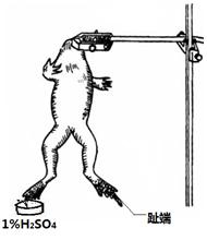 百年高考百年模拟,百年历史高考题