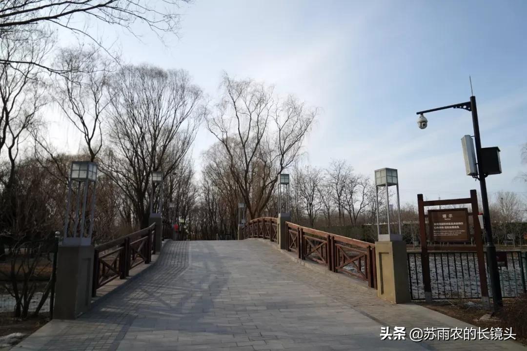 京城闹市寻幽（89）：春节假期中萧瑟的古塔公园