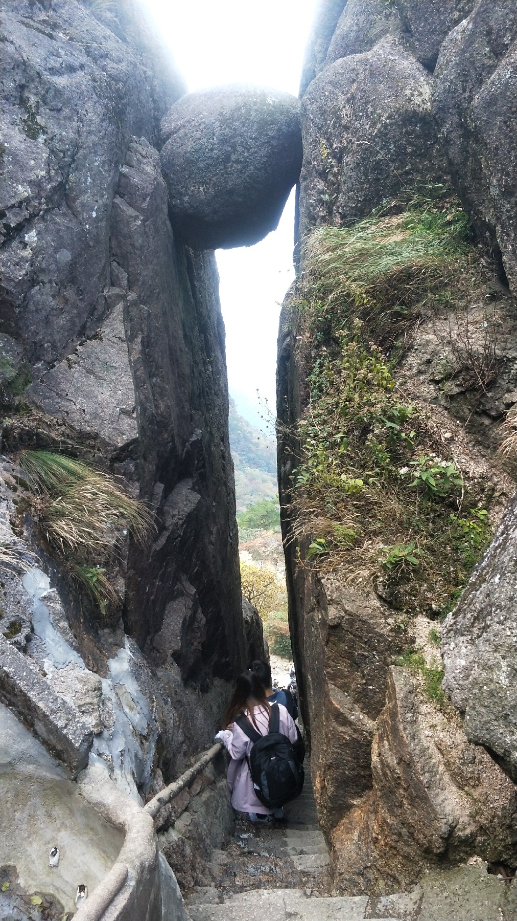 灏戝勾鏃剁殑姊︽兂榛勫北,瀛︾敓鏃朵唬姊︽兂