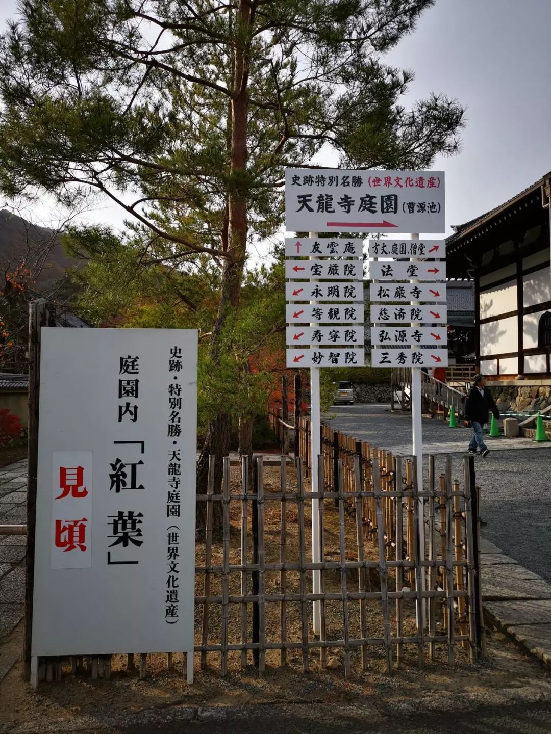 岚山哪有好玩的,日照岚山区值得去吗