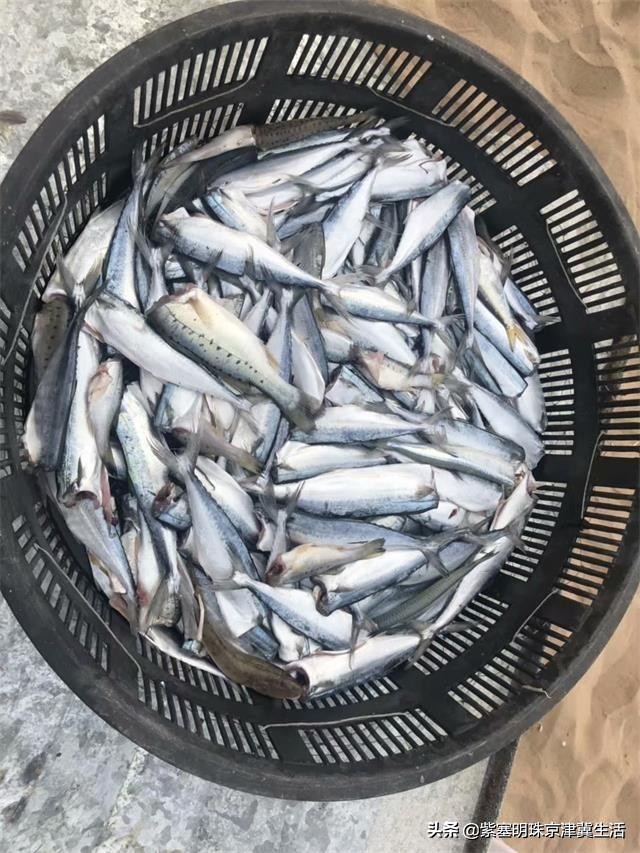 辽宁东戴河景点排行榜,辽宁绥中东戴河风景区