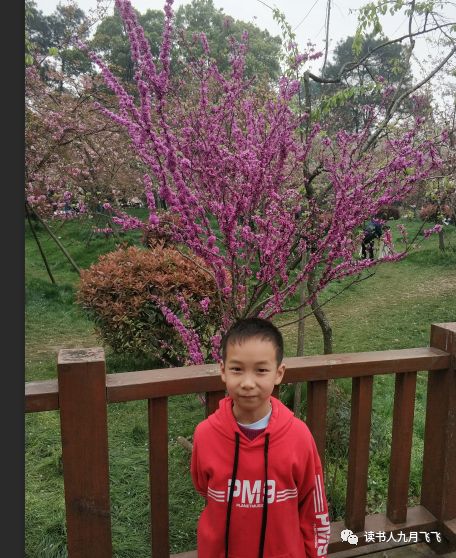 小飞象和猫头鹰影评,电影小飞象观后感影评