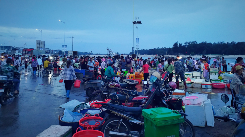 广东湛江旅游攻略美食,湛江旅游海鲜推荐一下