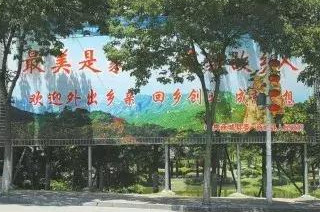 返乡创业助力家乡实体经济发展,商城县返乡创业补贴