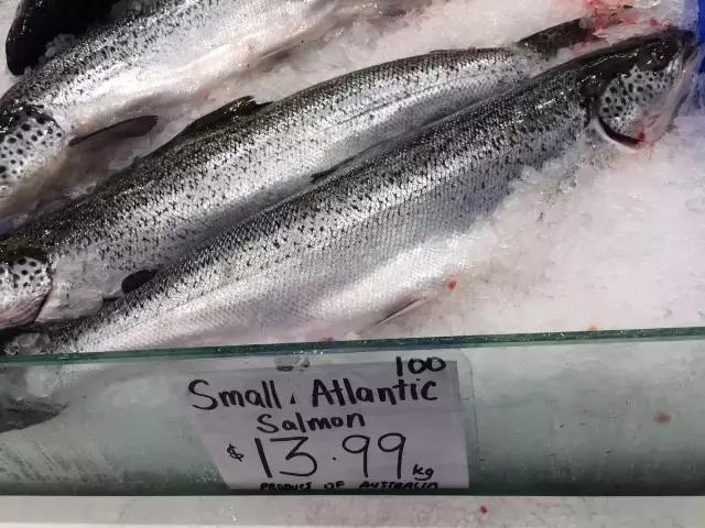 中国与澳洲人均生活哪个好,国内生活好还是在澳洲生活好