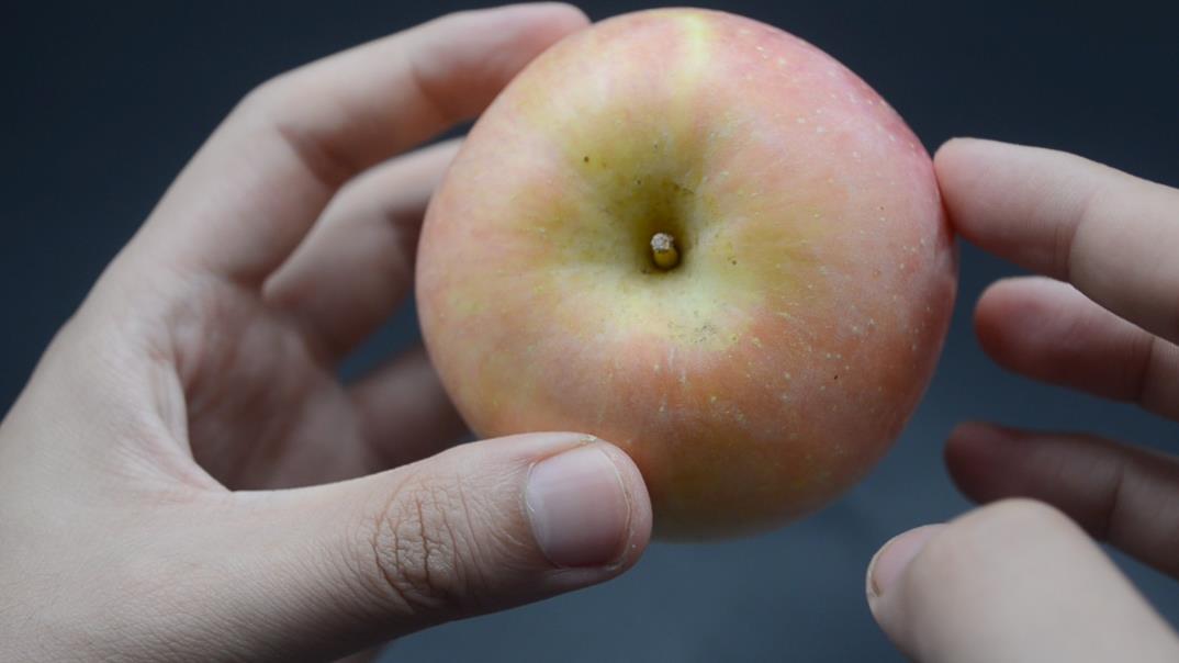 苹果要挑什么样的才好吃呢,原来苹果这么好吃