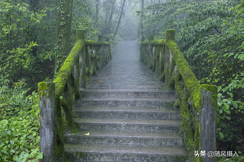 自驾旅记,自驾游柴埠溪大峡谷游记
