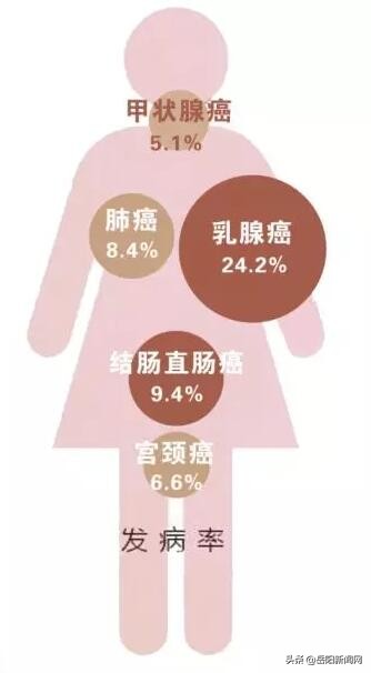 女同胞福利最新政策,国家这项政策你了解么