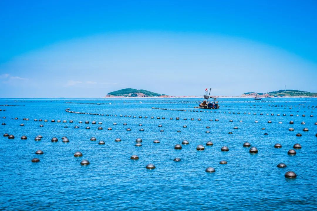 去大连海边玩一趟要多少钱,去海滨城玩有什么攻略