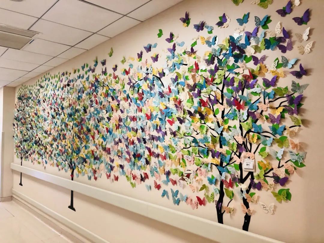 肿瘤专科建设方案,如何打造肿瘤放疗护理专科特色