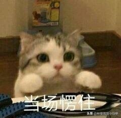 网红面膜产品打假测评,芮一面膜有激素超标吗