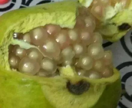 拼多多买水果攻略,拼多多买水果平台