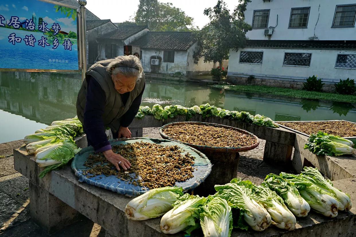 安昌古镇简介和历史,安昌古镇的别样风情