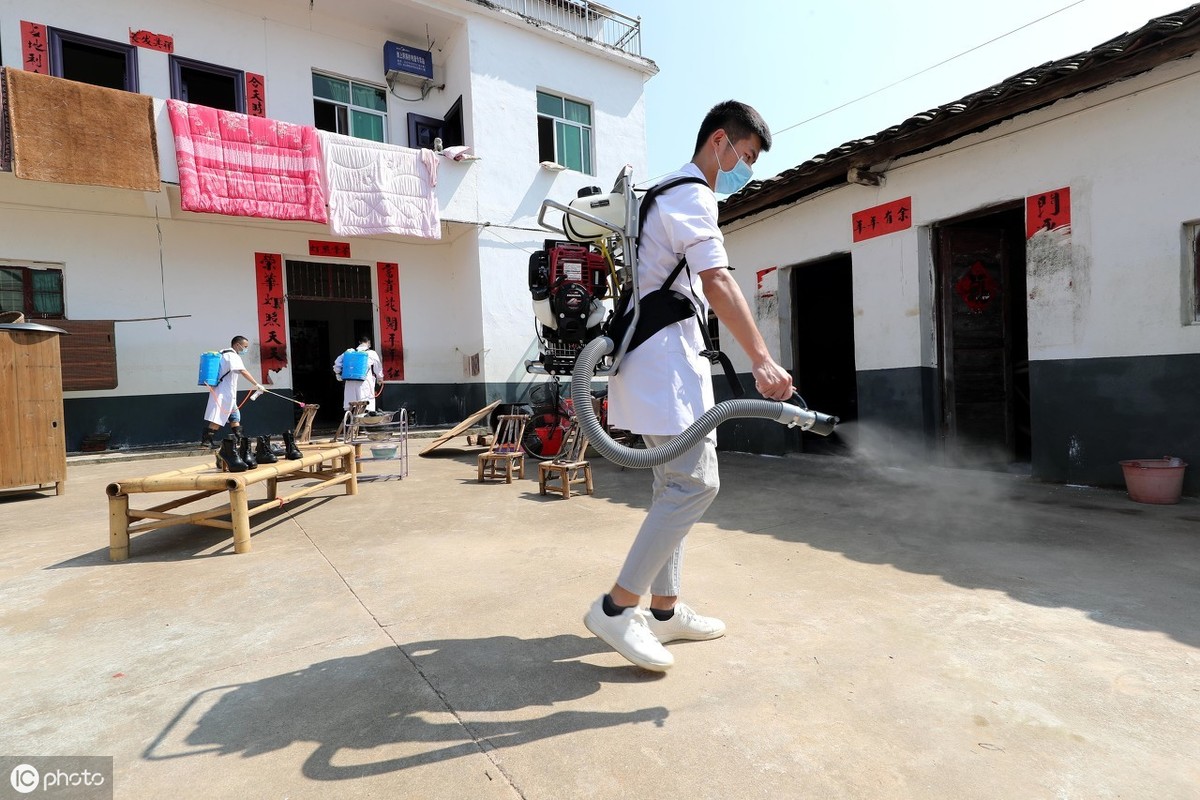 鹦鹉夏天驱虫的最好方法,玄凤鹦鹉除了驱虫还要注意哪些