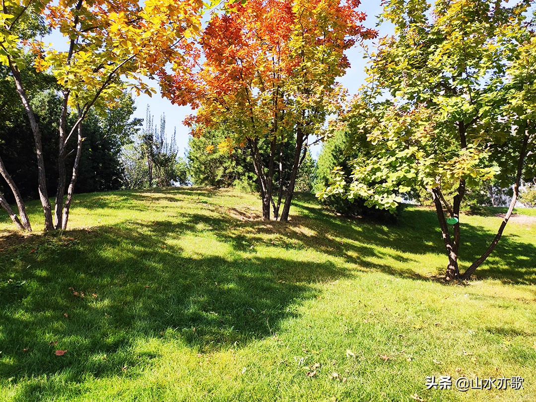 石家庄体育公园哪个最好,石家庄体育公园有什么好玩的