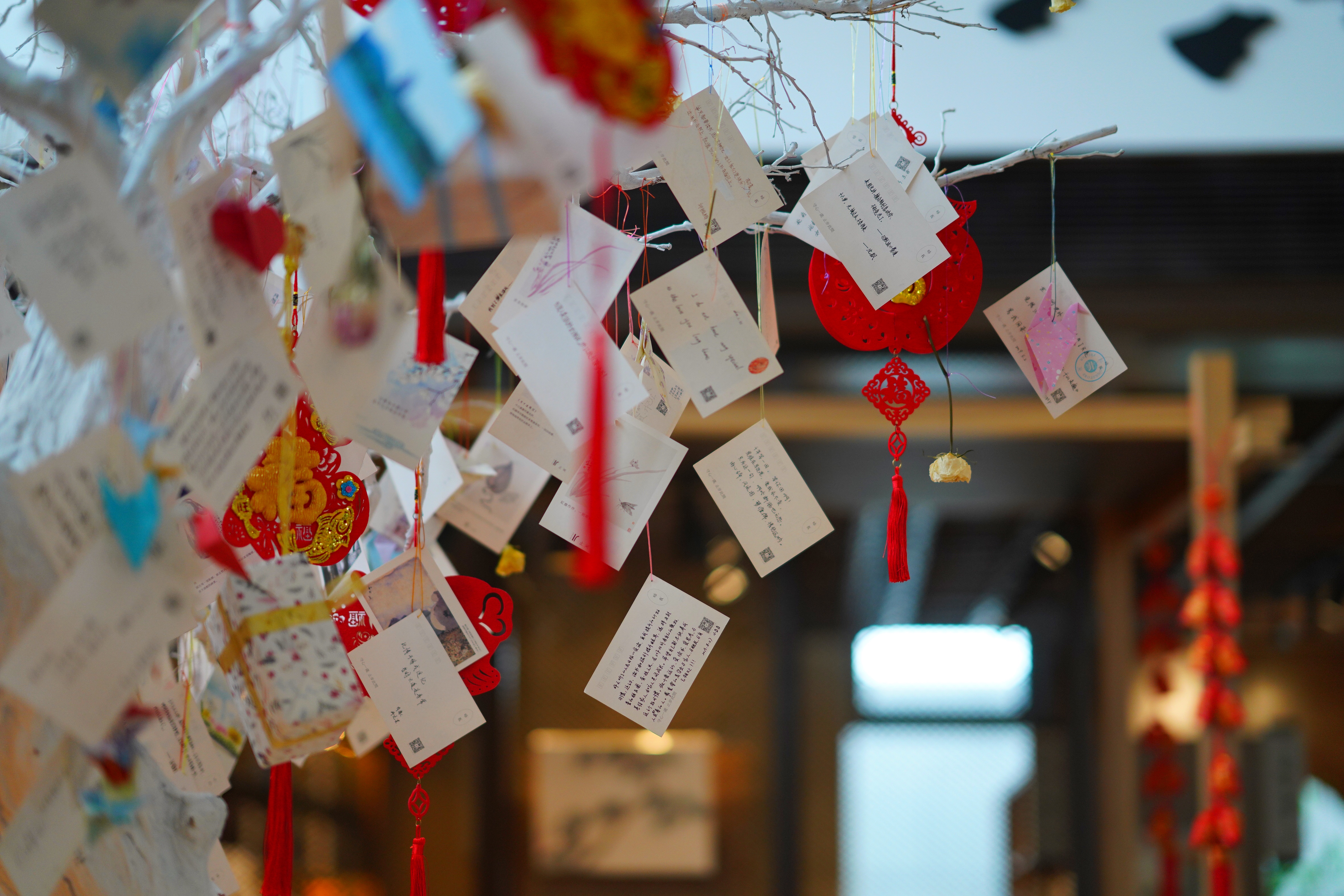 送你一份最地道的苏州逛吃攻略,苏州便宜又好看的民宿推荐