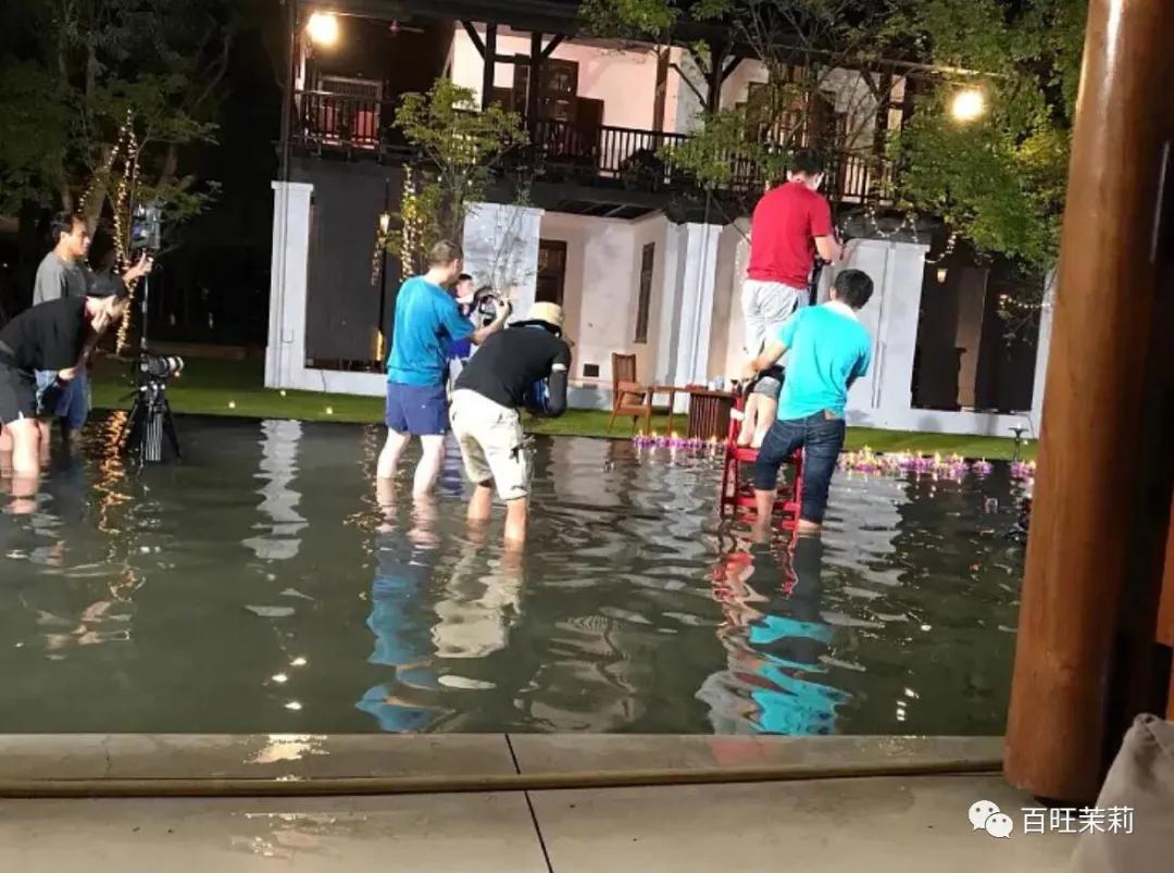 你还看真人秀吗,你们还信真人秀么