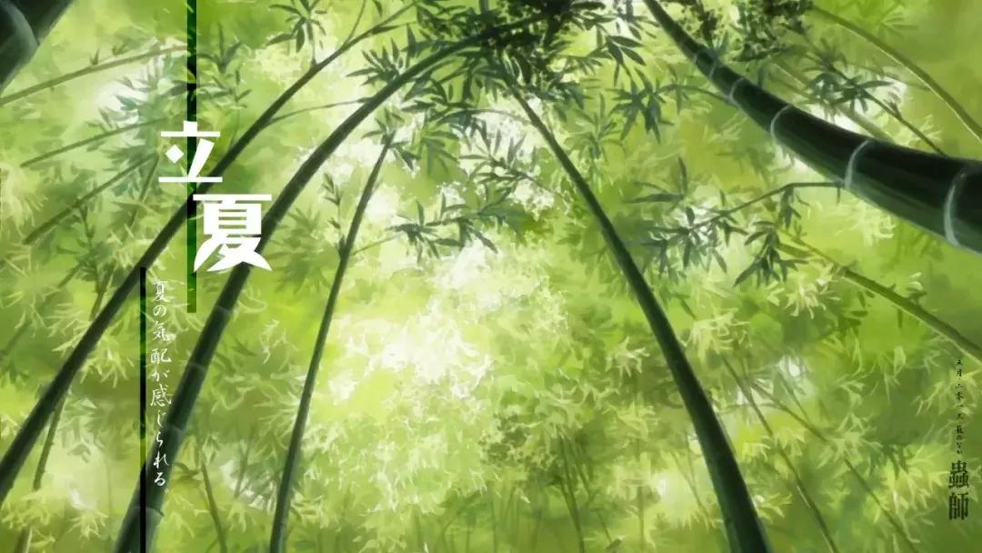 今日立夏绿荫遍野风暖昼长,立夏绿意浓浓