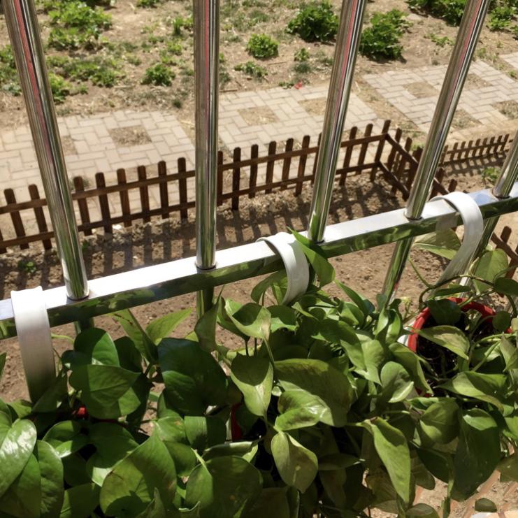 北京夫妇的断舍离生活：控制“买买买”，全屋收纳堪称模范！晒晒