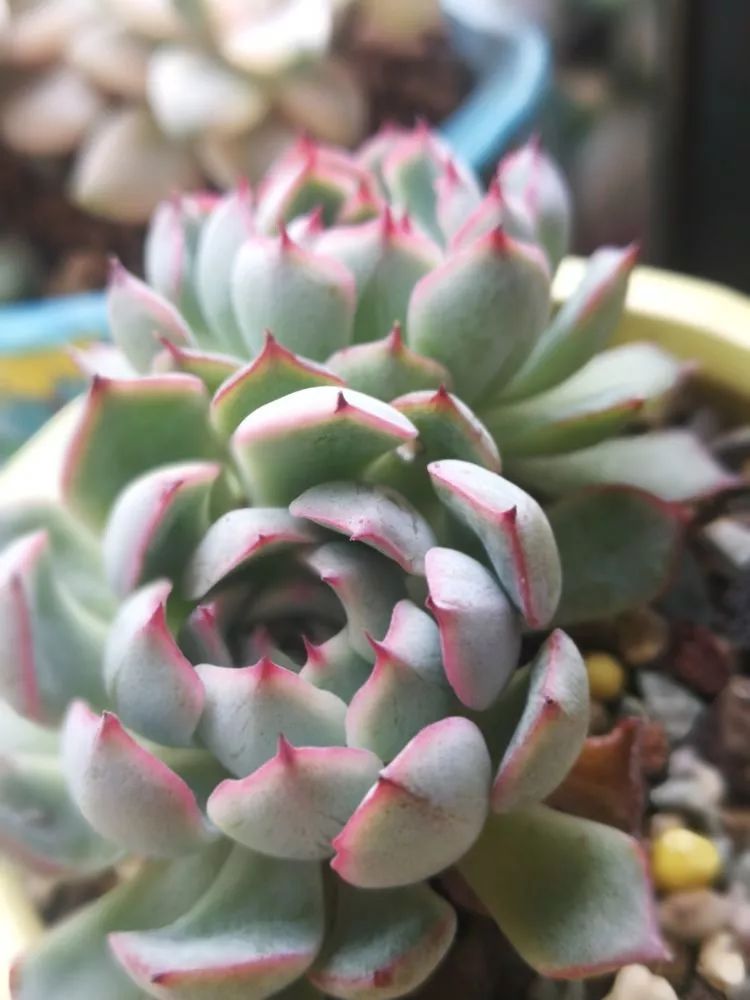 一杯清茶一道暖阳,一杯清茶温暖的时光