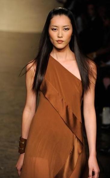 刘雯的经历,刘雯经历