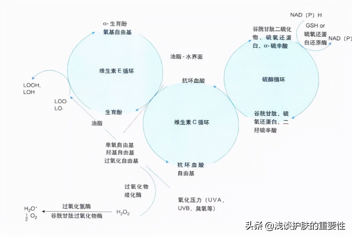 维生素e乳可以解决皮肤干燥吗,脸干燥起皮紧绷发红用维生素e