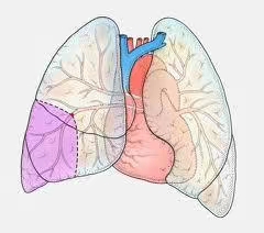 久坐之后会出现什么状况,久坐腿会肿是什么原因