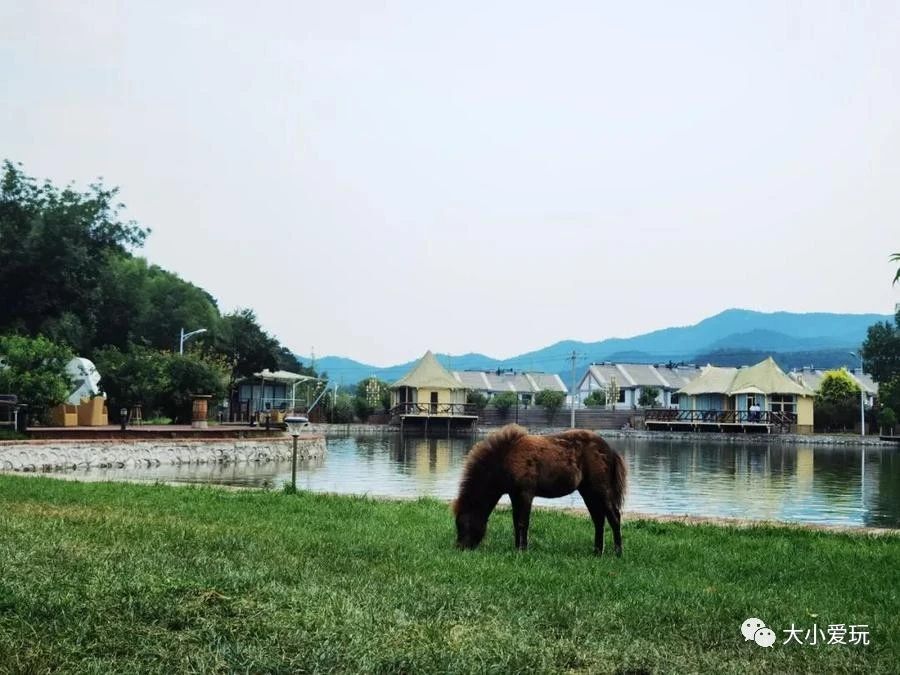 在北京国庆还有房的亲子酒店就看这一篇！这才叫手慢无的种草清单