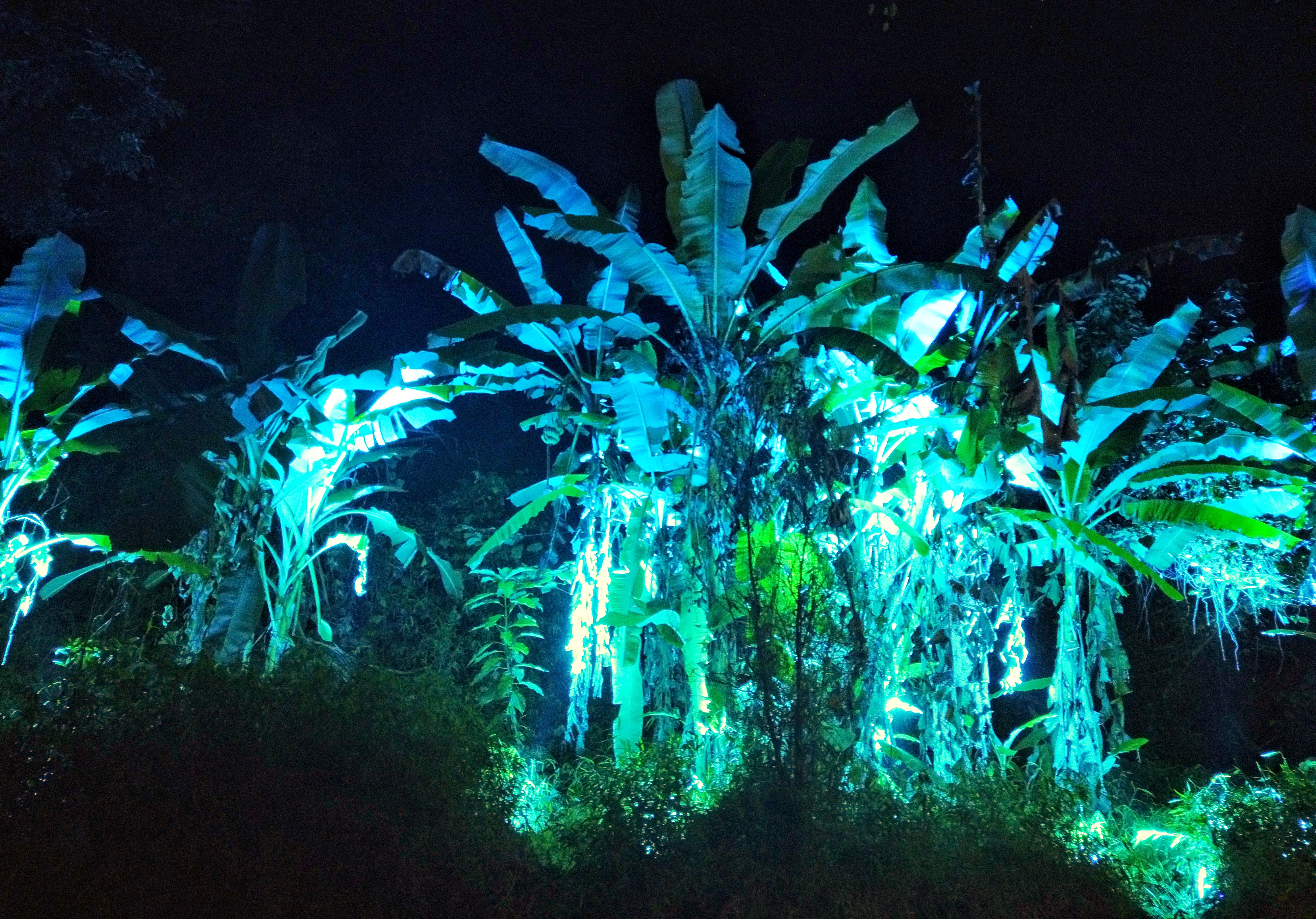 广西德天瀑布有灯光,今日广西德天瀑布