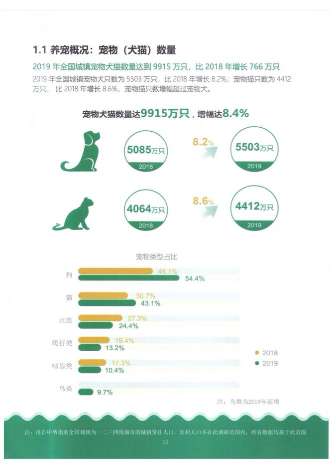 什么都能治的宠物医生,了不起的宠物医生观后感