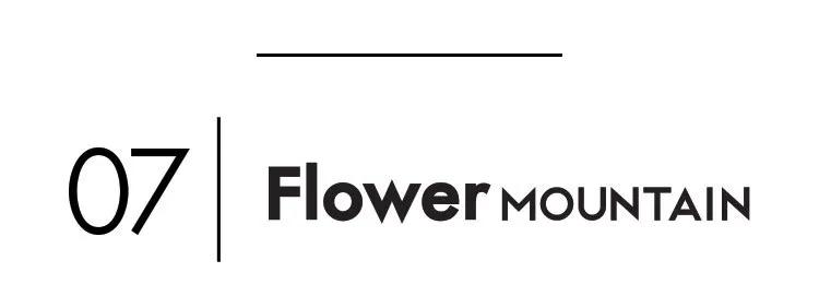 山合会：山字辈品牌大盘点