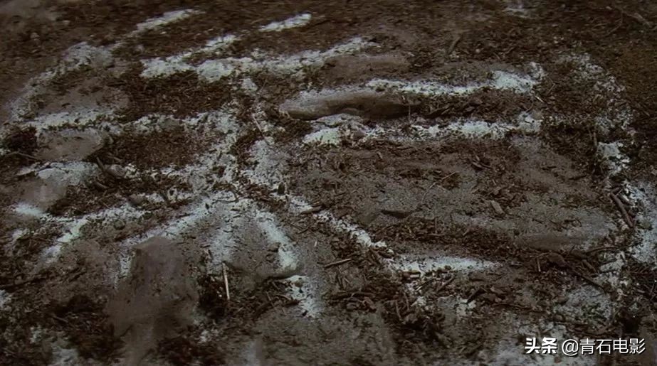 尊龙演的电影野人,尊龙演野人的电影