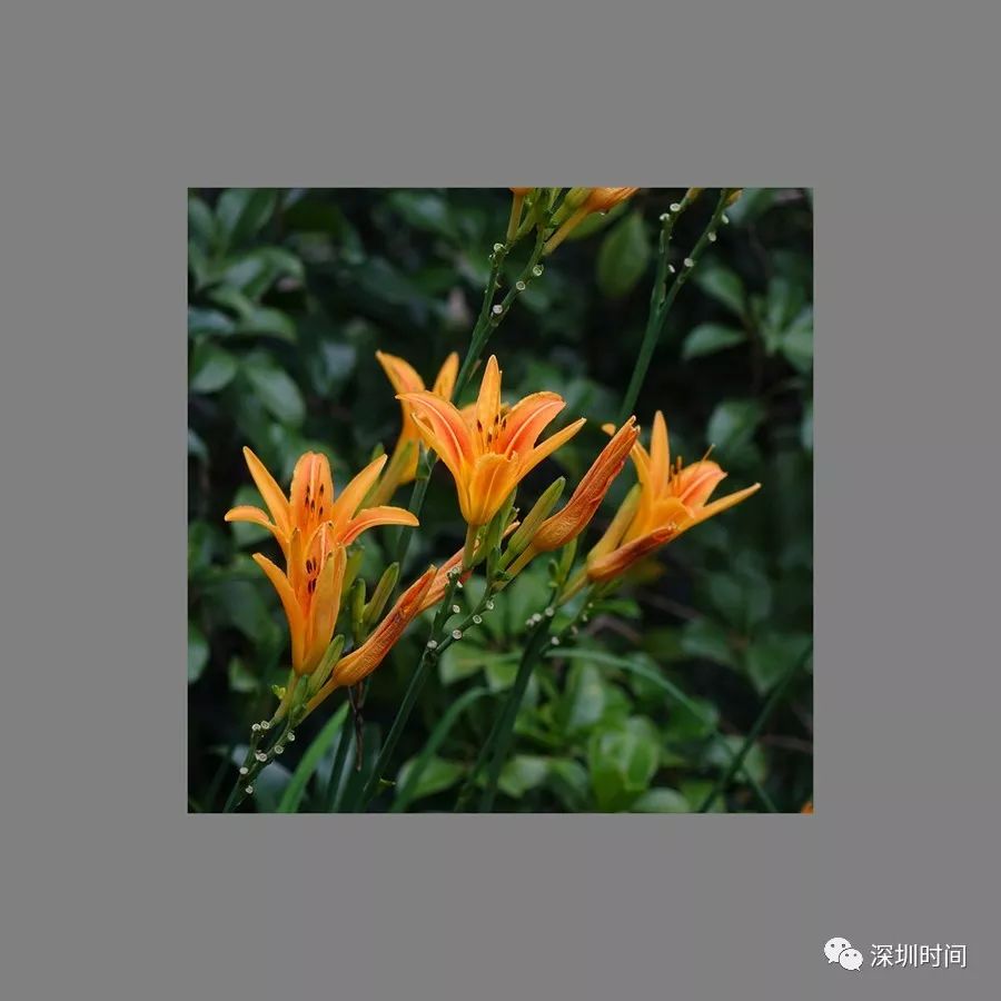 彭孙遹诗文,彭孙遹作品大全