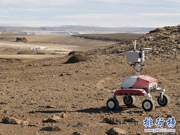 世界上独一无二猪岛,巴哈马群岛猪岛