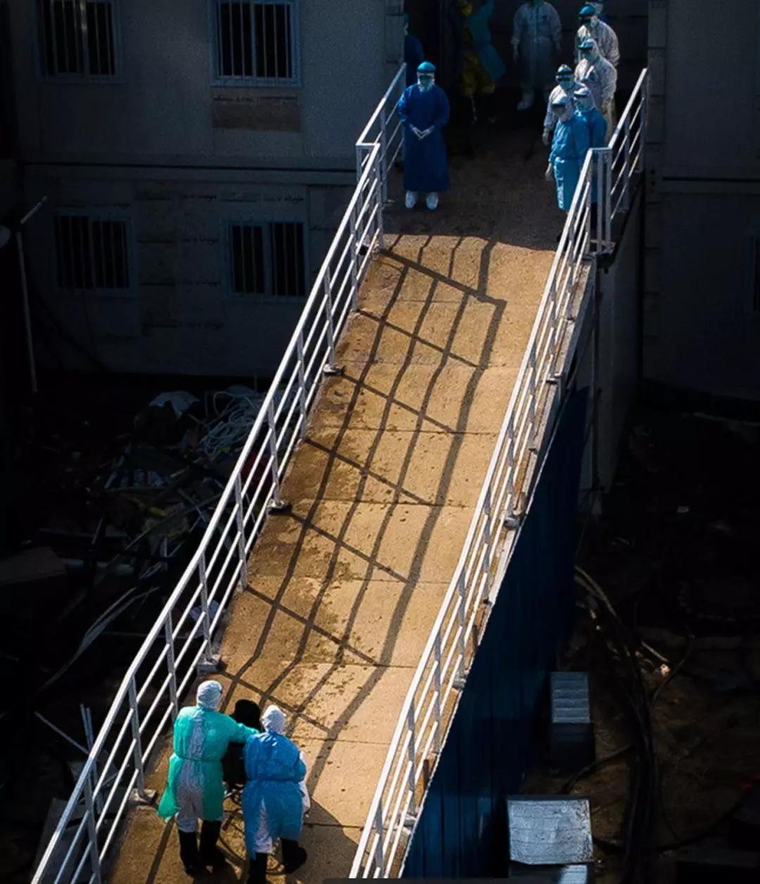 做好疫情防控春耕备耕农产品保障,农业生产与疫病防控