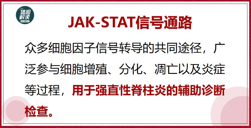 张嘉译得了强直性脊柱炎多少年了,张嘉译强直性脊柱炎的现状视频