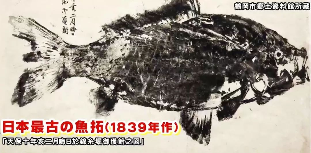 古代钓鱼爱好者记录“战绩”的鱼拓，变成了风靡全球的东方艺术