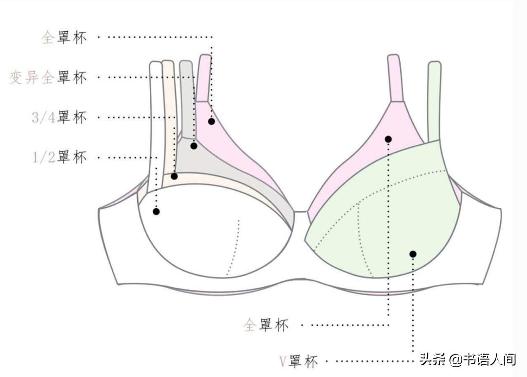 有哪些内衣常识妹子必须要知道的,内衣知识小讲堂